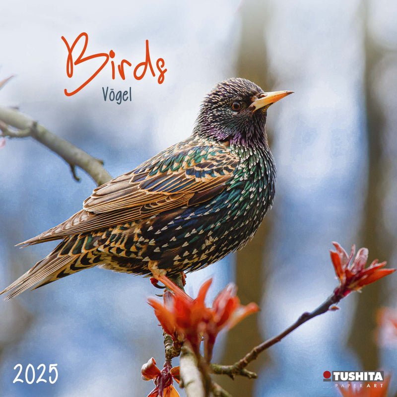 Birds - Jaarkalender 2025 - Catch Utrecht