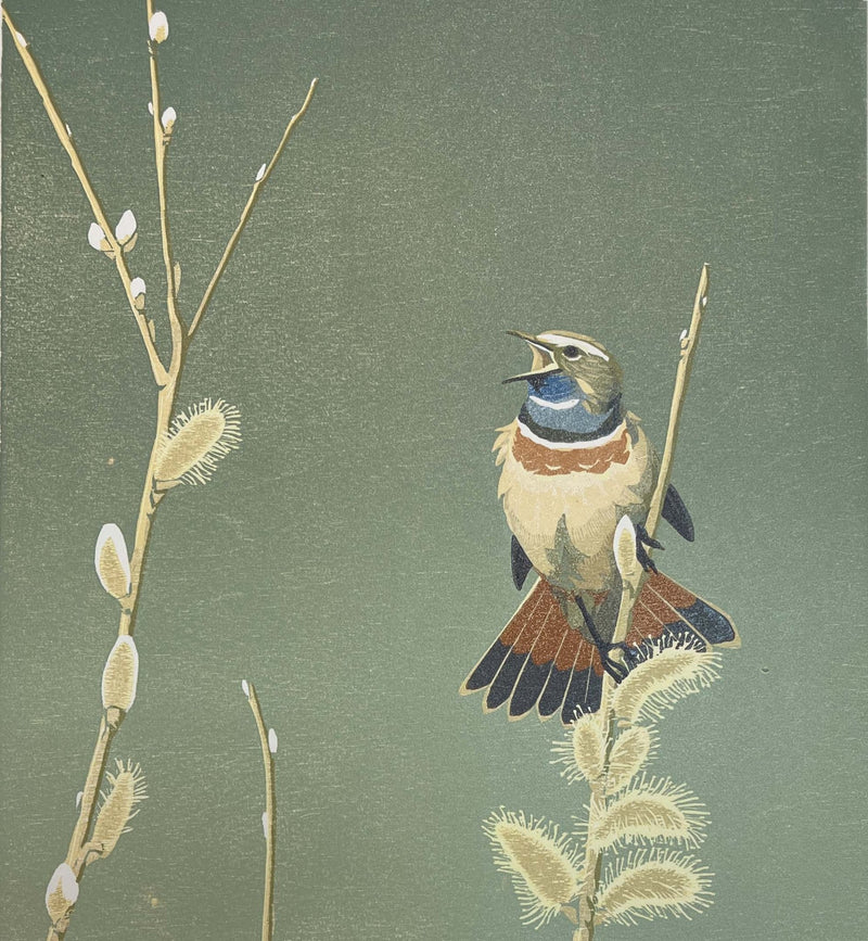 Blauwborst - Catch Utrecht