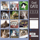 Cool Cats - Jaarkalender 2026 - Catch Utrecht