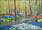 De Keukenhof Lisse, Niek van der Plas - Catch Utrecht