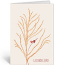 Gecondoleerd - Catch Utrecht