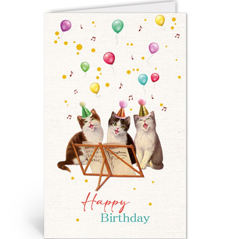 Happy birthday - Katten - Catch Utrecht
