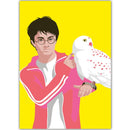 Harry Potter met sneeuwuil - Catch Utrecht