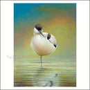 Kluut - Catch Utrecht