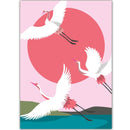 Kraanvogels - Catch Utrecht