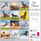 Magic Horses - Jaarkalender 2026 - Catch Utrecht
