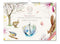 Michelle Dujardin, Animals - Familie planner 2026 - Catch Utrecht