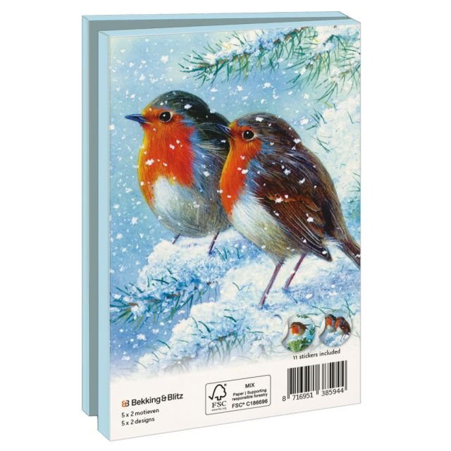 Robin in the Winter, Brian Rushton (incl. sluitstickers) - Catch Utrecht