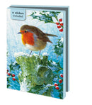 Robin in the Winter, Brian Rushton (incl. sluitstickers) - Catch Utrecht