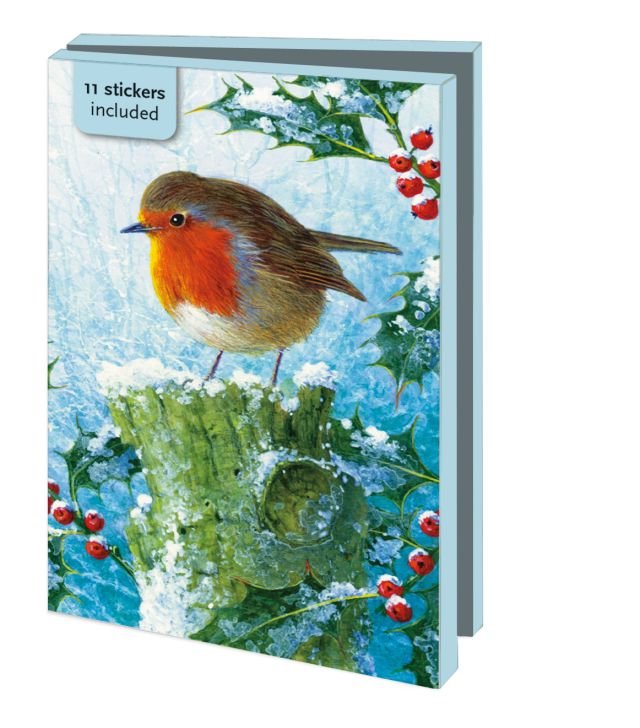 Robin in the Winter, Brian Rushton (incl. sluitstickers) - Catch Utrecht