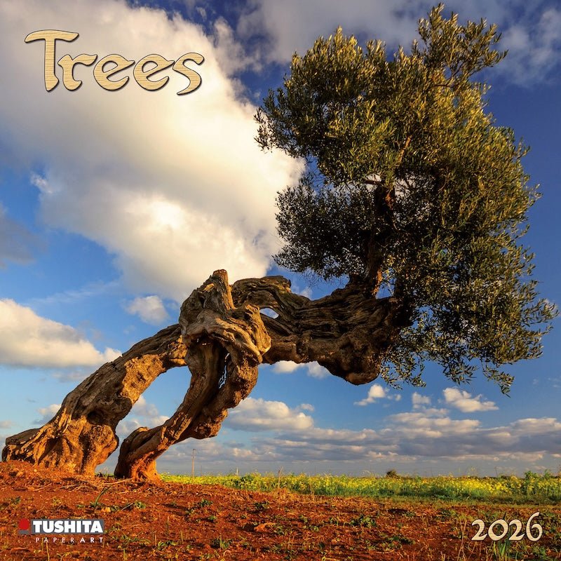 Trees - Jaarkalender 2026 - Catch Utrecht