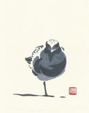 Zilverplevier - Catch Utrecht