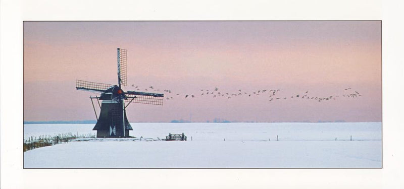 Molen in de sneeuw - Catch Utrecht