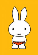 Nijntje in zwembroek - Catch Utrecht